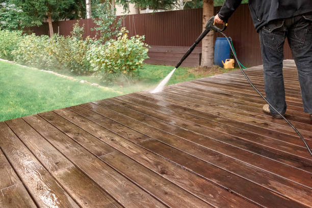 Boat and Dock Cleaning in Pine Hills, FL