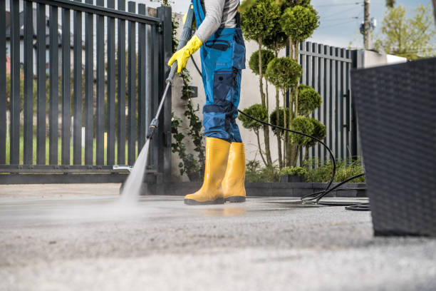 Best Animal Enclosure Cleaning  in Pine Hills, FL